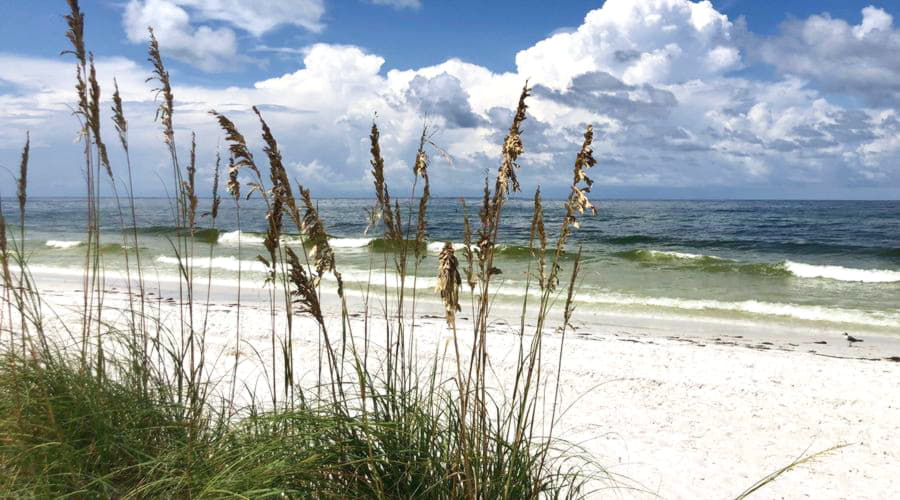 Onze autoverhuurservices bieden een gevarieerde selectie van voertuigen in Bradenton-strand.